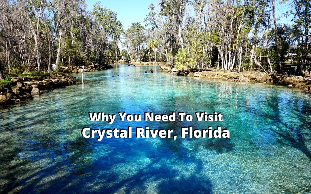 https://www.discovercrystalriverfl.com/